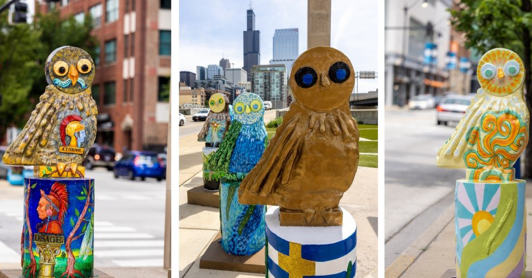 Little Wise Owls - Greektown Chicago